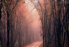 落叶归根！内马尔免签回归巴甲桑托斯签约6个月.