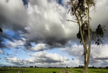 詹姆斯谈大帽申京：我很了解球员的习惯 那就是一次对他的解读.