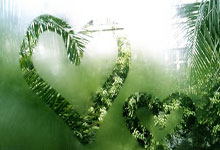 亚博体育官网:一家之言丨英超三代“石油爹”,一代更比一代难.