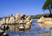 [图]德甲-勒沃库森主场3-0完胜拜仁 5分优势领跑.